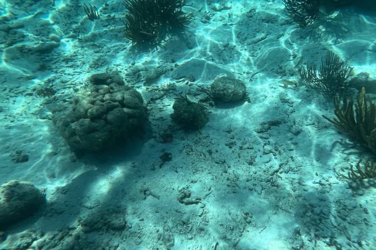 White Sands Cove San Pedro  Εξωτερικό φωτογραφία