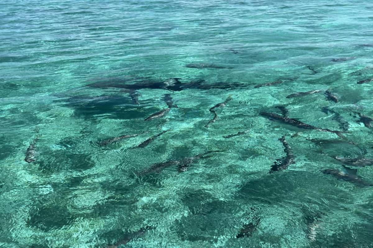 White Sands Cove San Pedro  Εξωτερικό φωτογραφία